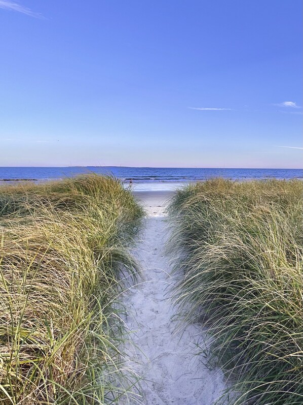 Plage, chaises longues, serviettes de plage