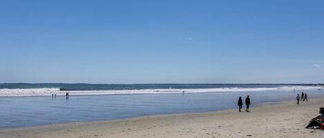 Plage, chaises longues, serviettes de plage