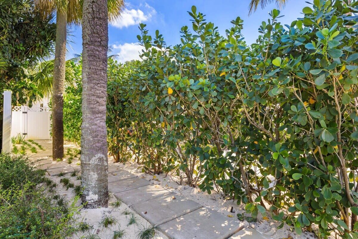 Jardines del alojamiento