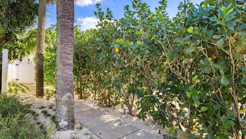 Jardines del alojamiento