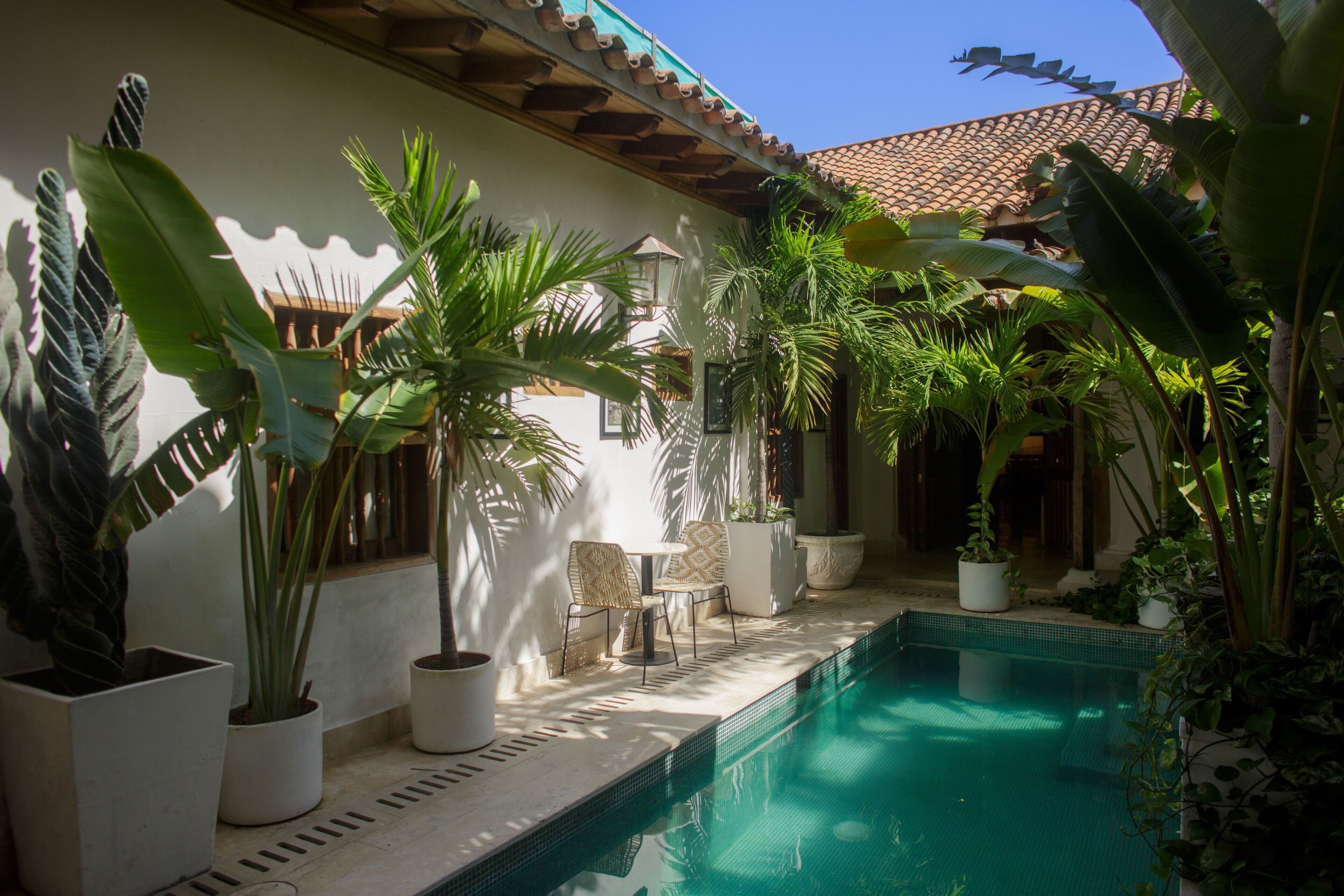 Photo - Palmas de Alba Hotel Boutique