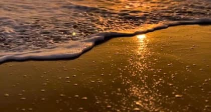 Balneário Piçarras um mar de Felicidade!