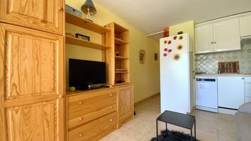 Fernseher