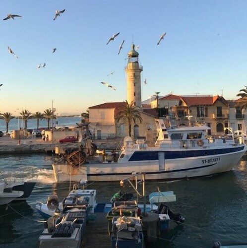 L'Orée de Camargue Studio avec Cour