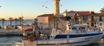 L'Orée de Camargue Studio avec Cour