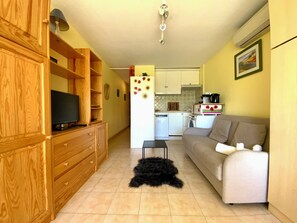 A compact living space with a TV, wooden cabinets, a sofa, a small table, and a kitchen area with appliances.