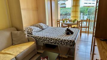 1 slaapkamer, een strijkplank/strijkijzer, wifi