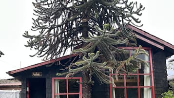Cabane | Façade de lâhĂ©bergement
