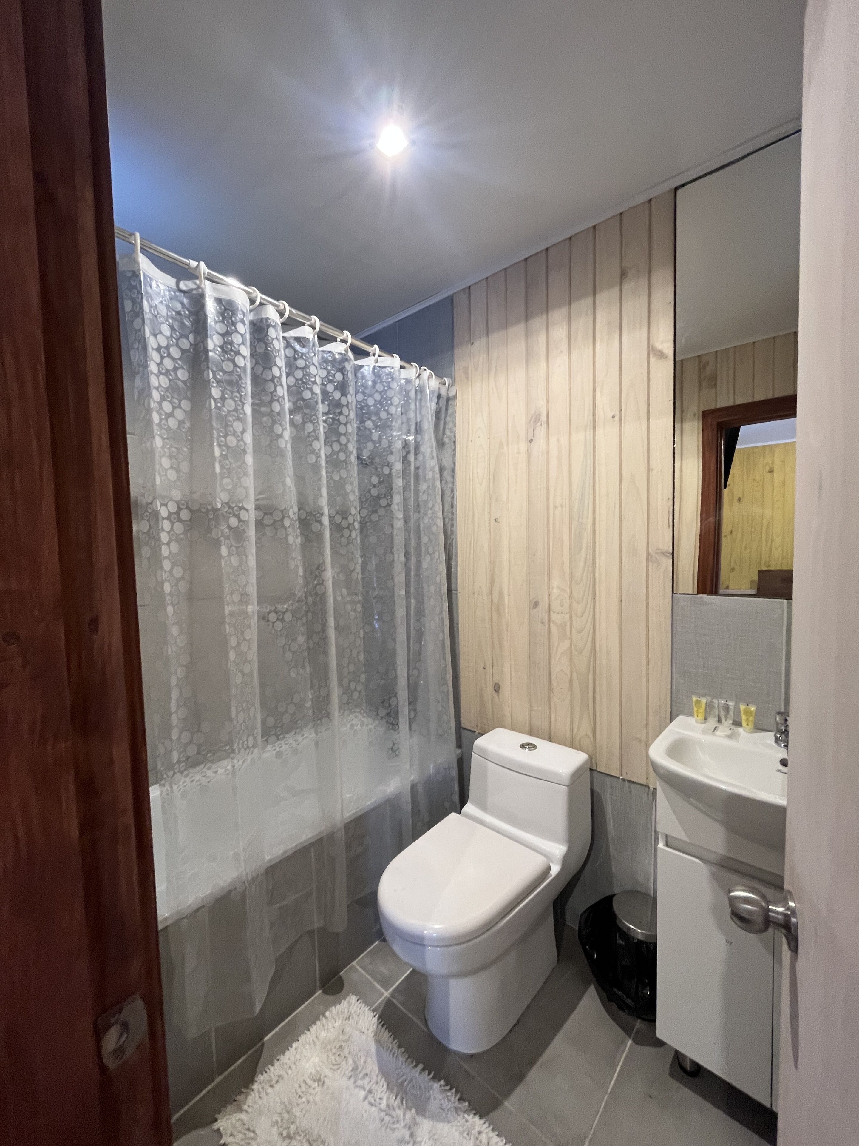 Gratis toalettartiklar och hårtork