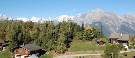 Ulkopuoli