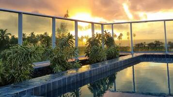 A rooftop pool with a view of the sunset, surrounded by palm trees and a railing.
