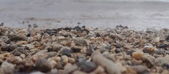 Spacious Holiday Home, Coral Coast Sigatoka.