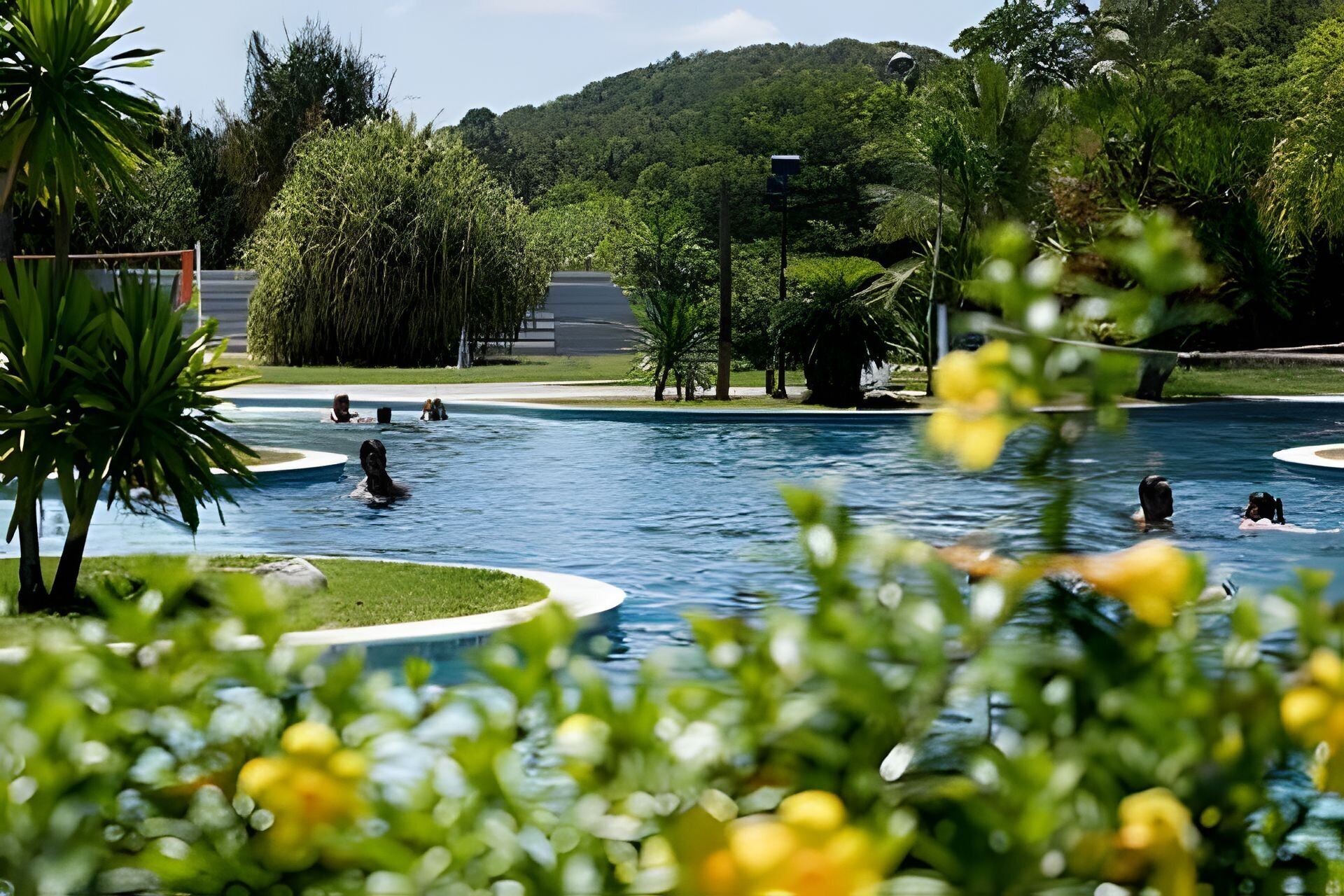 A swimming pool with people in the water, surrounded by greenery and trees.