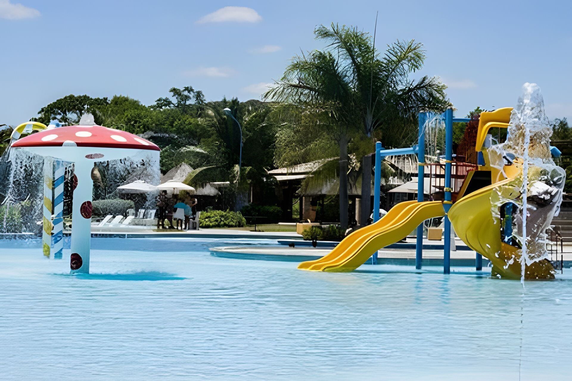 Standard Apartment | Pool | Outdoor pool