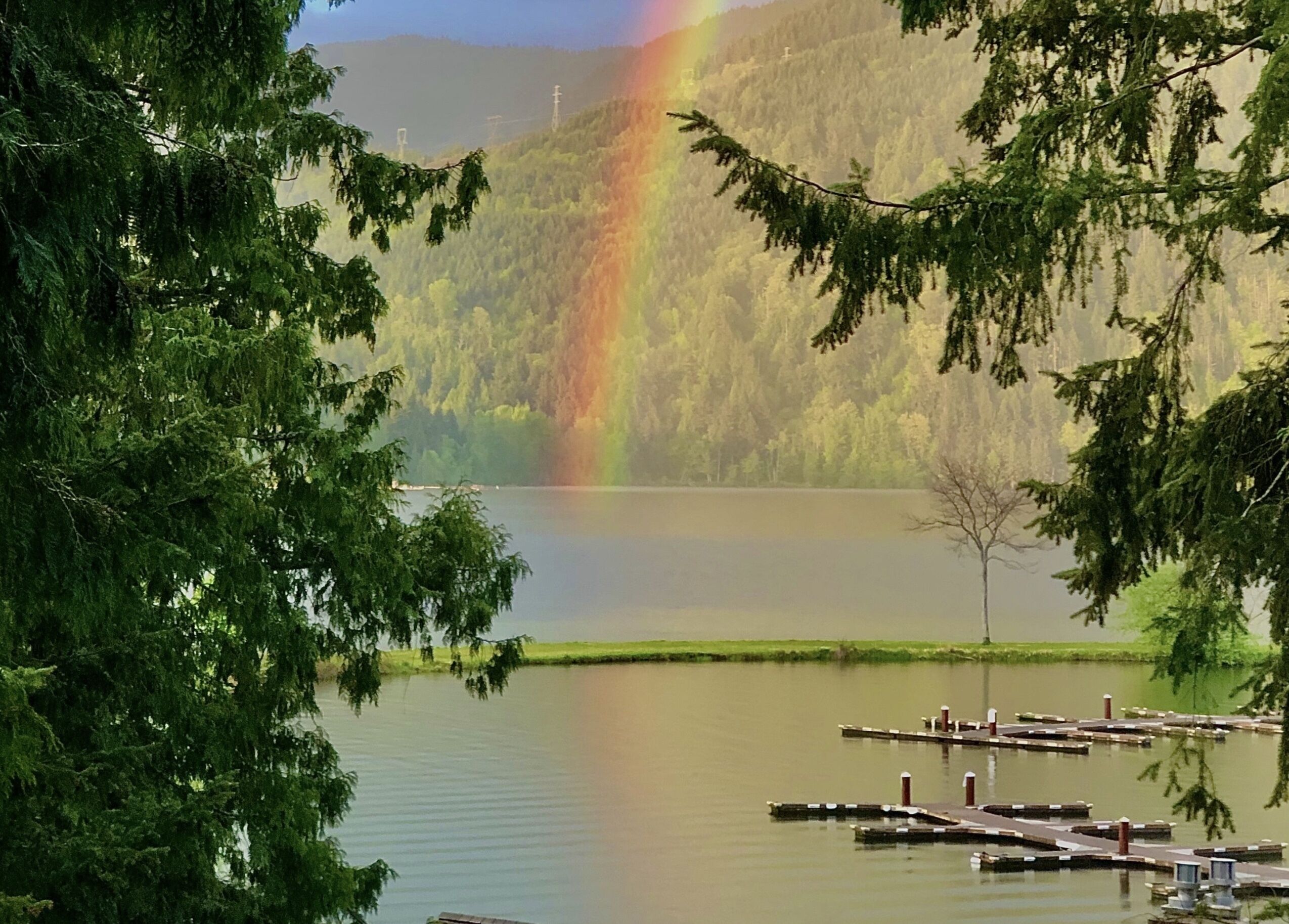 Marina view lake house. Beach & Golf! Dog friendly