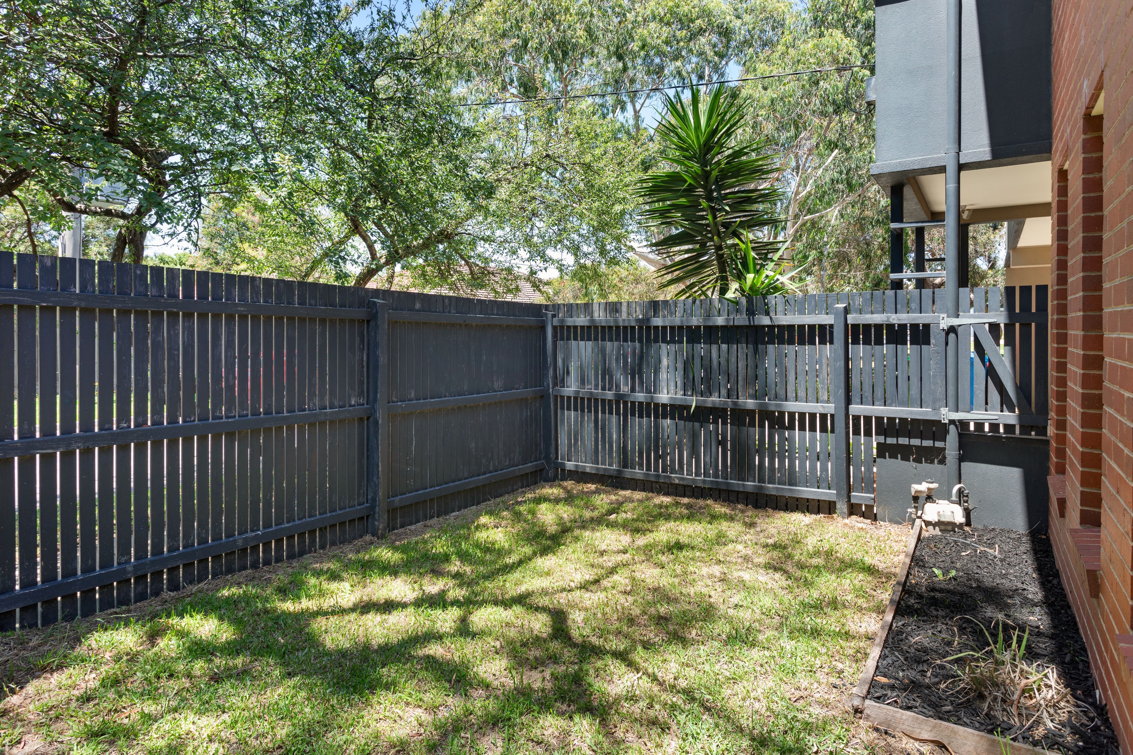 A fenced backyard with grass and a tree.