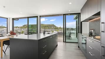 Premium Penthouse | Shared kitchen