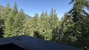 A view of a forested area with a wooden structure in the foreground. - 6-person studio with direct access to the slopes (LES ORRES)