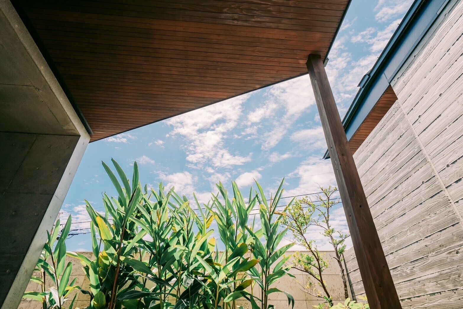 숙박 시설 내 편의 시설/서비스