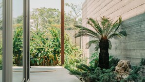 A pathway leading to a building with a modern design, surrounded by lush greenery and a palm tree.