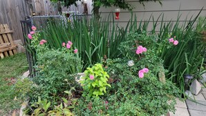 Un jardin avec différentes plantes et fleurs, une clôture en bois et une nichoir.