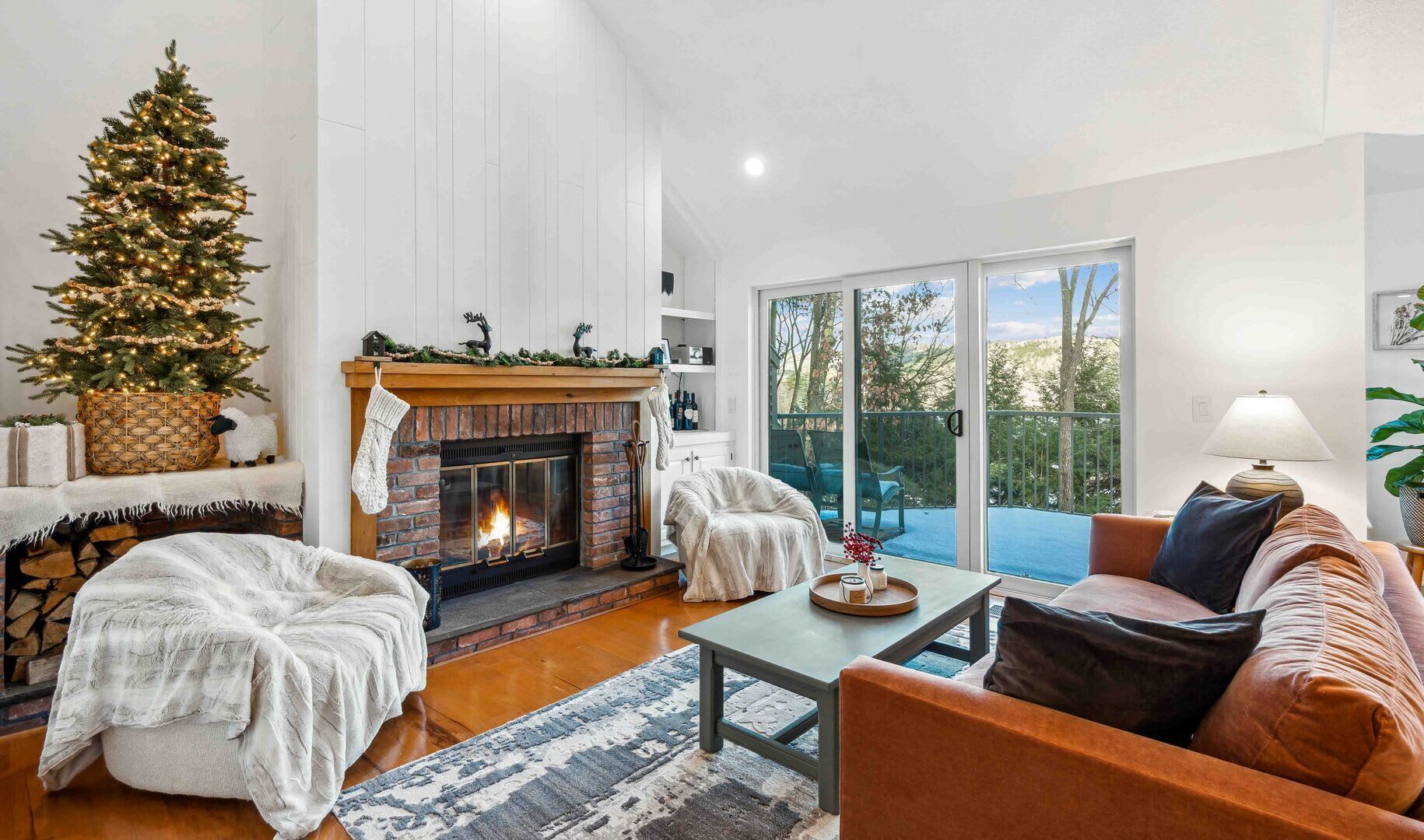 TV, fireplace, books