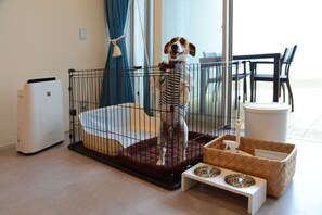 Pet-friendly amenities - BAYSIDE KANAYA (Futtsu)