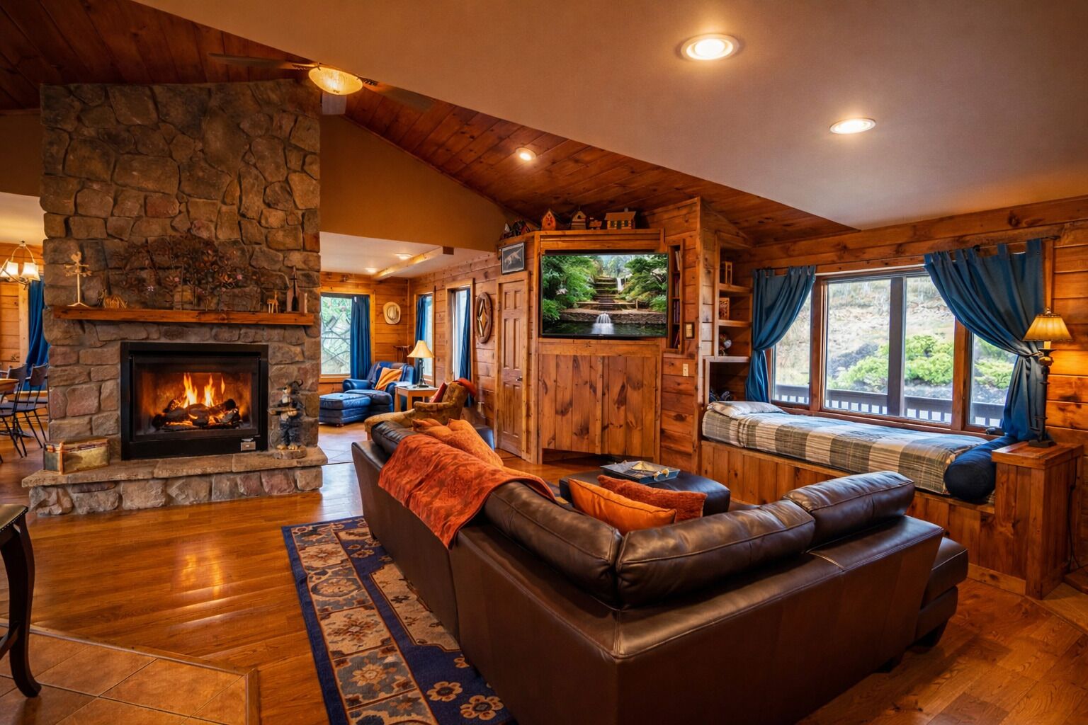 Télévision, cheminée, lecteur de DVD, livres