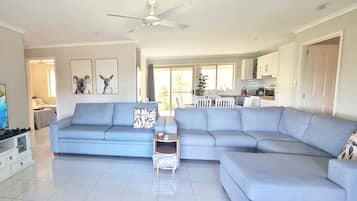 Smart TV, chimenea, videojuegos y reproductor de DVD