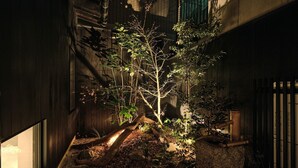 A garden with a tree, rocks, and a wooden fence. - Tsumugi Kamiurokogatacho (Kyoto)