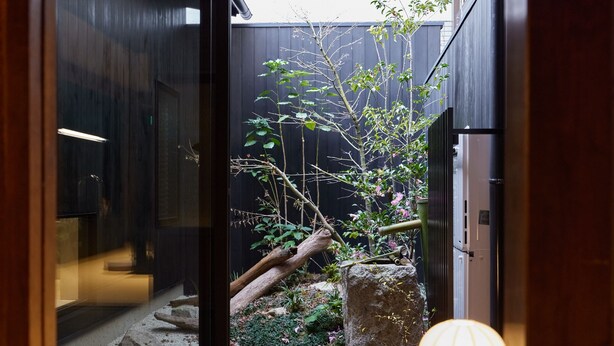 An indoor garden with a stone pathway, wooden logs, and various plants. - Tsumugi Kamiurokogatacho (Kyoto)