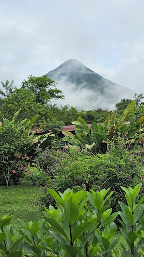 A lush garden with various plants and a mountain in the background. - Flora Glamping de Abuela  (La Fortuna)