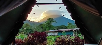Flora Glamping de Abuela