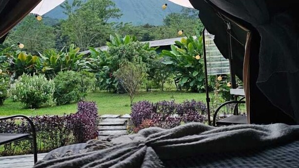 Una cama con vista a una montaña y vegetación exuberante.