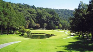 A golf course with a pond, surrounded by dense forest and trees. - Tokyu Vacations Tateshina (Chino)