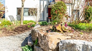Een modern gebouw met een tuinpad, een boom en een rots.