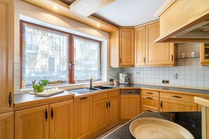 Kühlschrank, Ofen, Herdplatte, Geschirrspüler