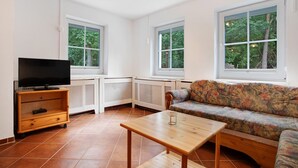 Ein Wohnzimmer mit Fernseher, Sofa, Couchtisch und großen Fenstern.