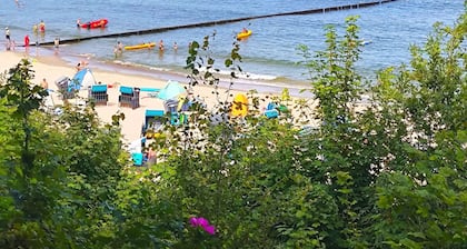 Apartment "Haus Seeadler 11" with Shared Terrace & Wi-Fi