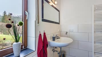 Shower, hair dryer, towels