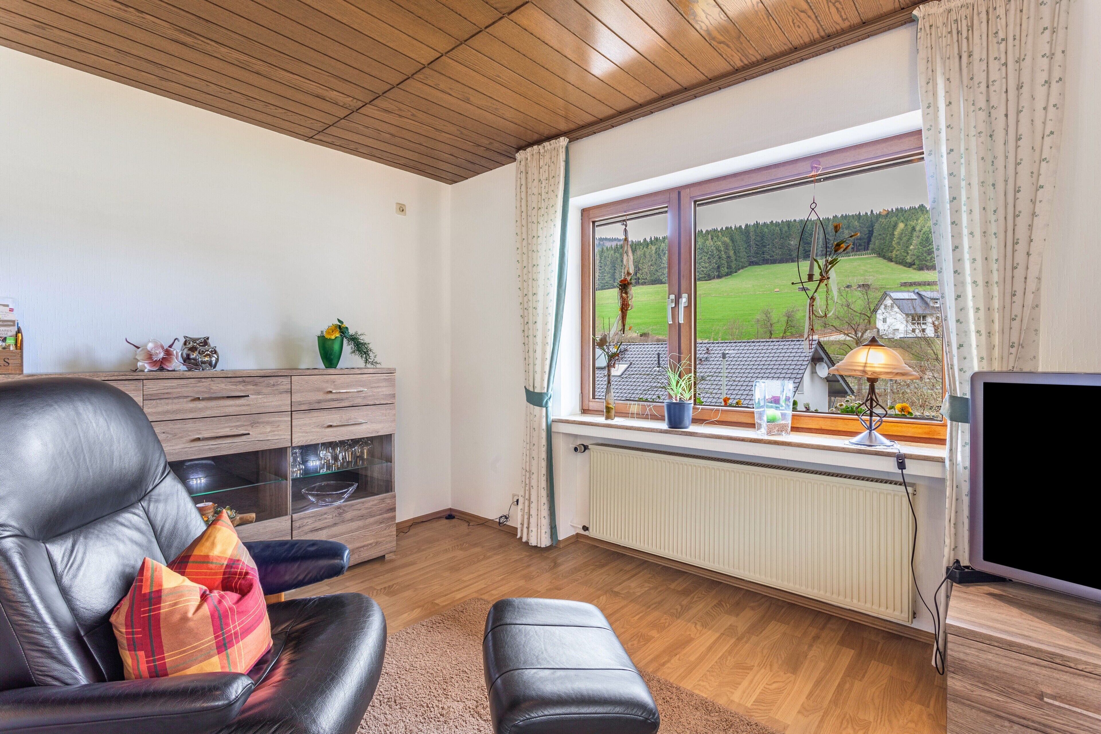 Fernseher