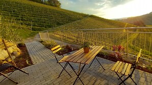 Una terraza con mesa y sillas, barandilla y vista a un viñedo.