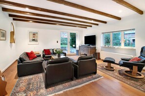 Télévision, cheminée, chaîne hi-fi