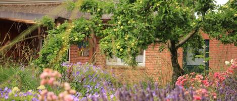 المنطقة المحيطة بالمنشأة