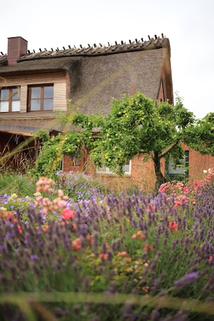 Property grounds. Studio Apartment 'Lüttdeel' with Private Terrace, Private Garden and Wi-Fi