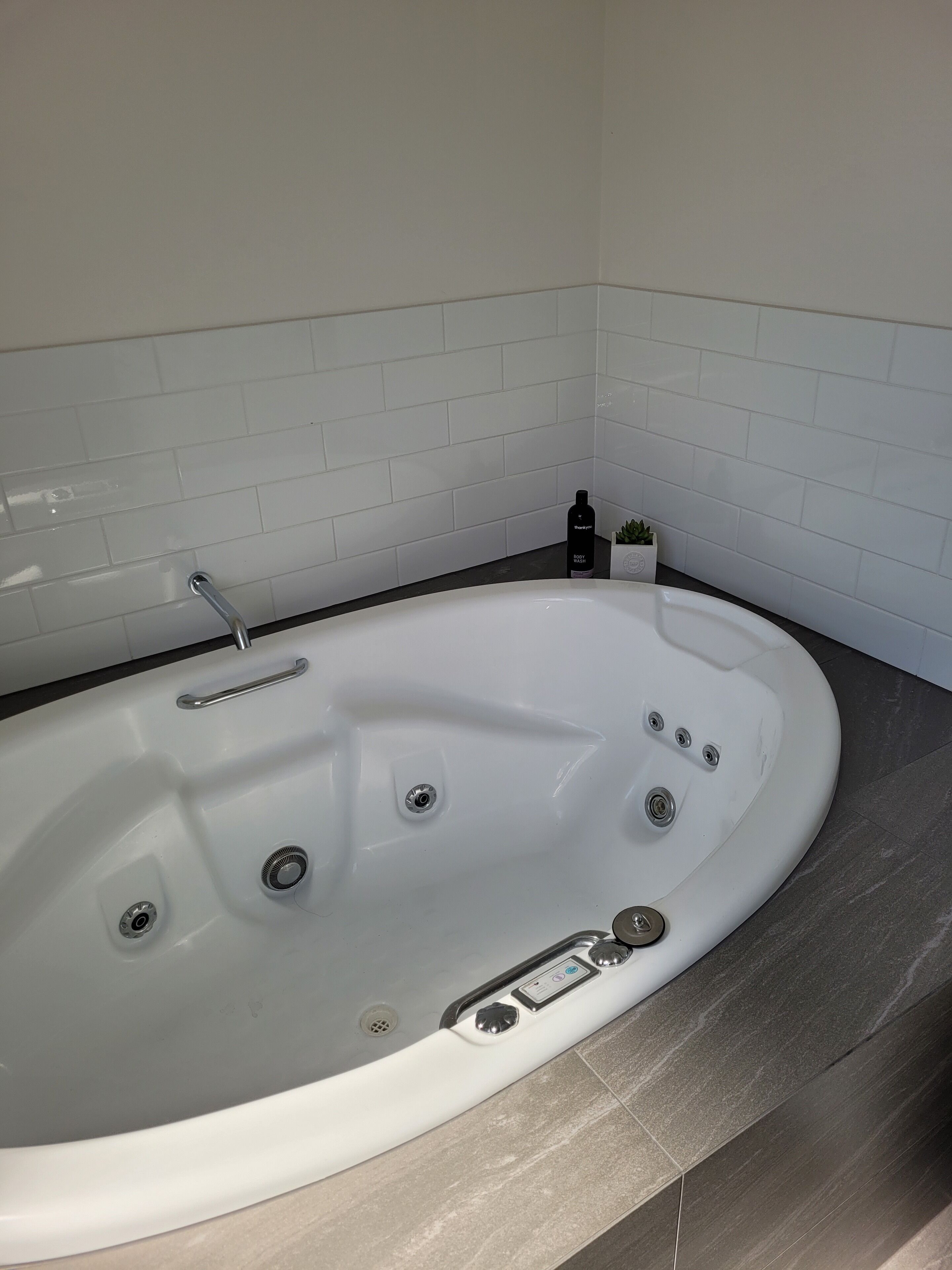 A modern bathroom with a freestanding bathtub, a handheld showerhead, and a small potted plant on the counter.