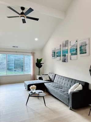 Smart TV, fireplace, books