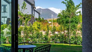 A view from a room with a glass door, overlooking a garden with various plants and a mountain in the background.