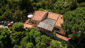 Vista aérea de una casa rodeada de bosque denso, con tejado de tejas y pared de piedra.