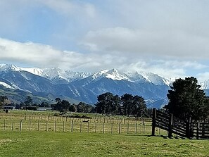 Property grounds - Cabin by pond & camping option (Carterton)